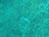 sm_PA190327.JPG