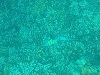 sm_PA190362.JPG