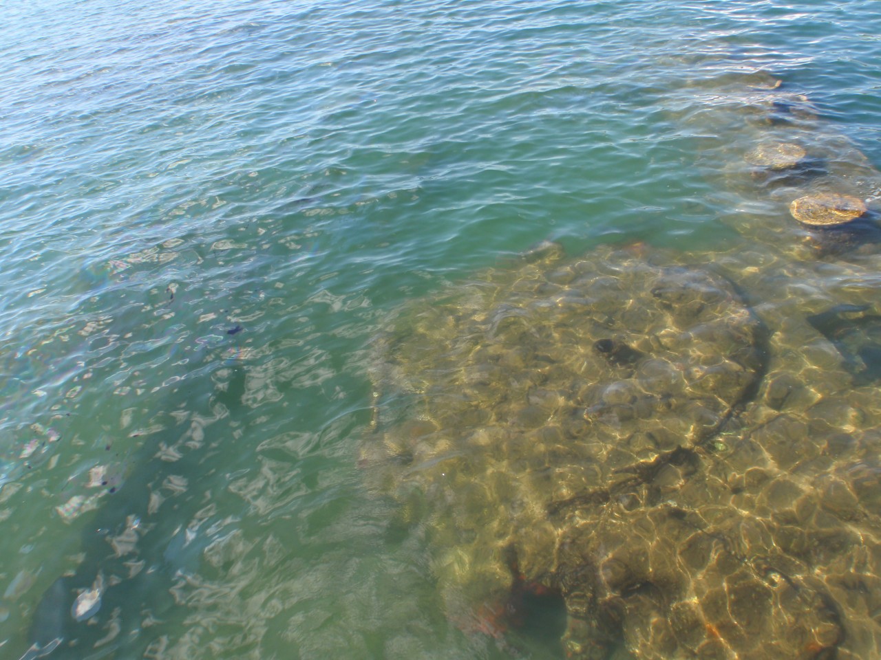 sm_AR-PA215473.JPG