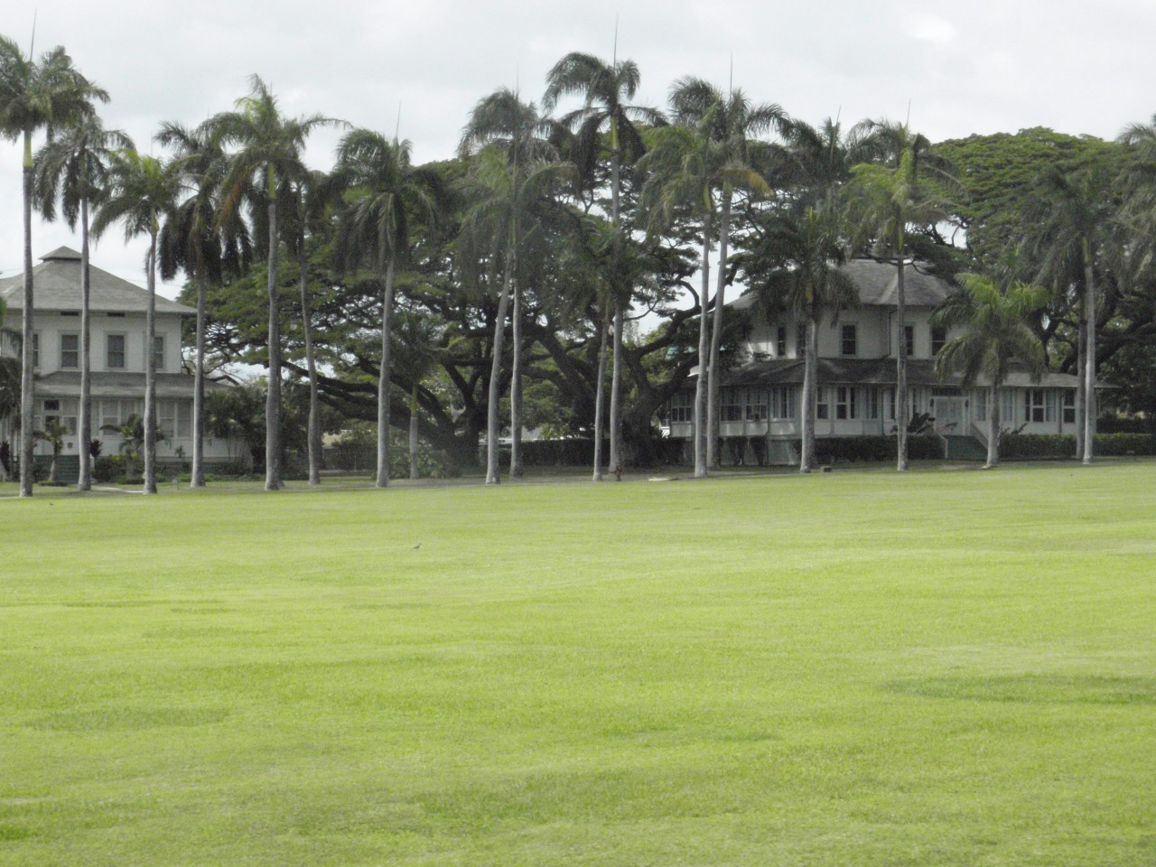 sm_AR-PA215563.JPG