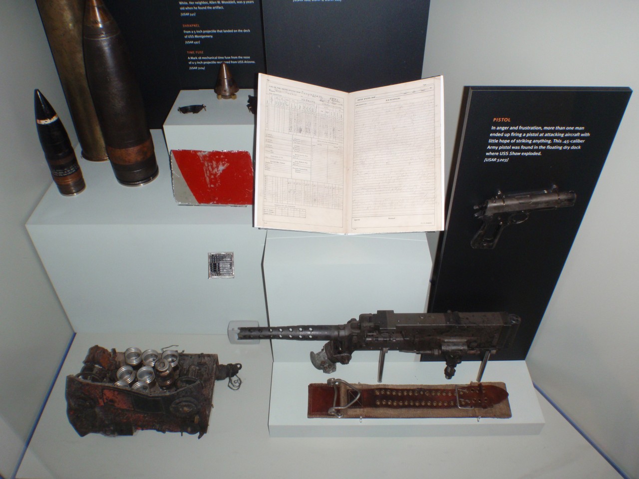 sm_PA210818.JPG