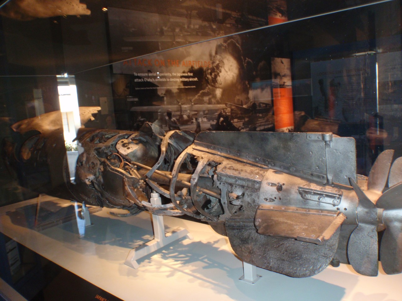 sm_PA210822.JPG