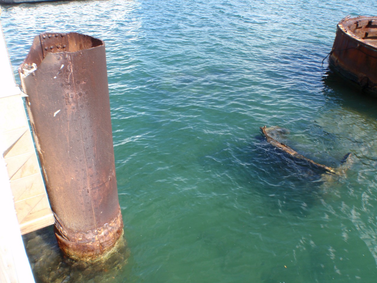 sm_PA210879.JPG