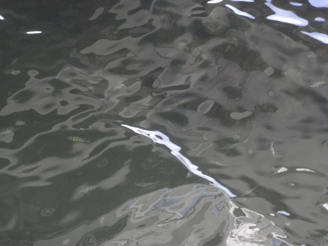 sm_PA210900.JPG