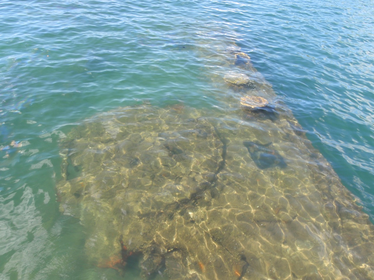 sm_PA210911.JPG