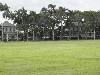 sm_AR-PA215563.JPG