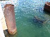 sm_PA210879.JPG