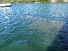 sm_PA210888.JPG