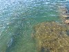 sm_PA210917.JPG