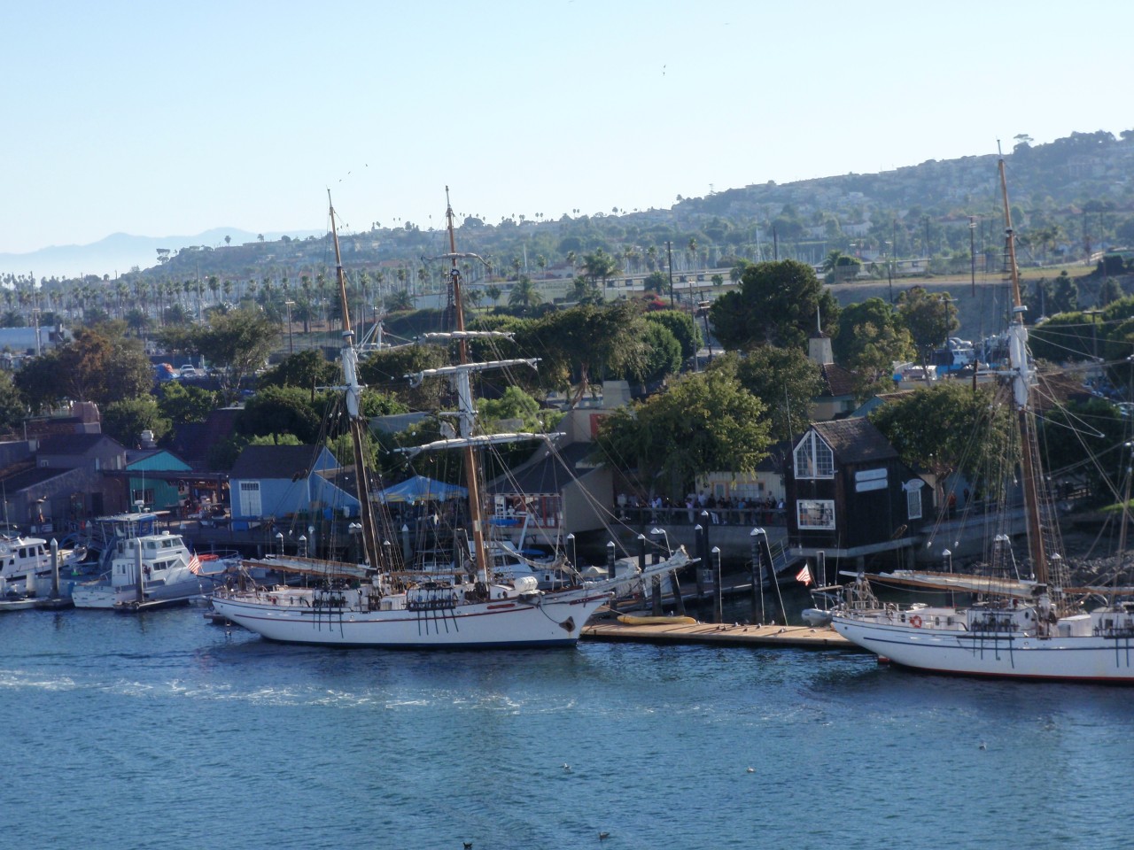 sm_PA140158.JPG