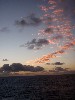 sm_AR-PA184783.JPG