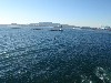 sm_PA140174.JPG