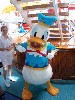 sm_PA231286.JPG