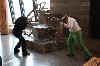 sm_343.jpg