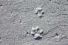 sm_518.jpg