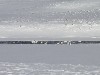 sm_674.jpg