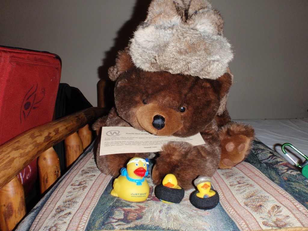 sm_AR-PC226141.JPG