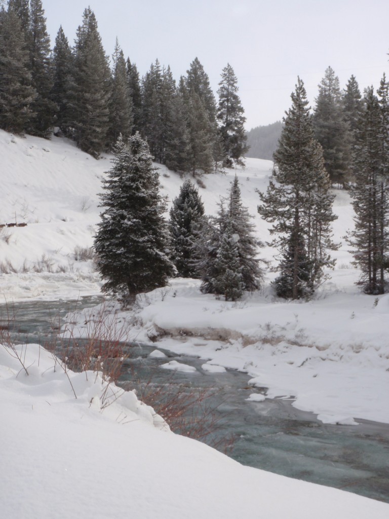 sm_AR-PC236233.JPG