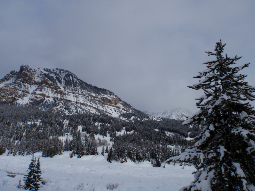 sm_AR-PC236319.JPG