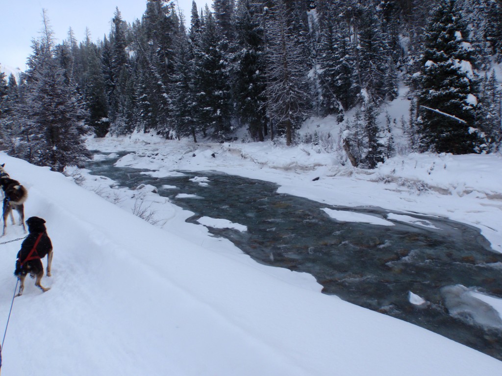 sm_PC231720.JPG
