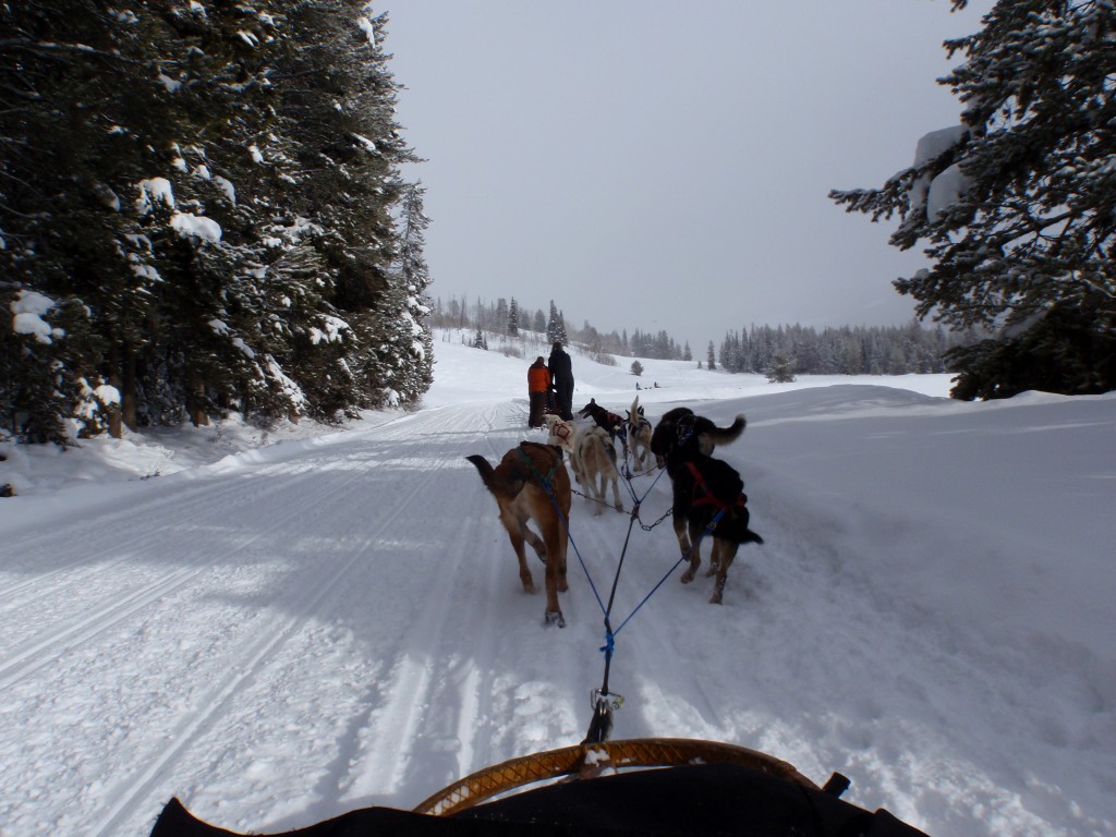 sm_PC231727.JPG