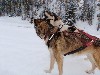sm_AR-PC236229.JPG
