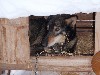 sm_AR-PC236357.JPG
