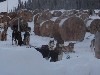 sm_AR-PC236361.JPG