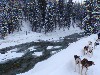 sm_PC231721.JPG