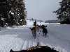 sm_PC231727.JPG