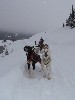 sm_PC231747.JPG