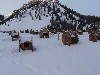 sm_PC231798.JPG