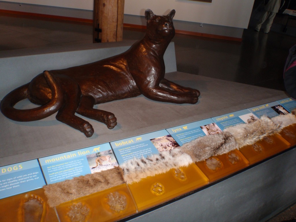 sm_AR-PC246396.JPG