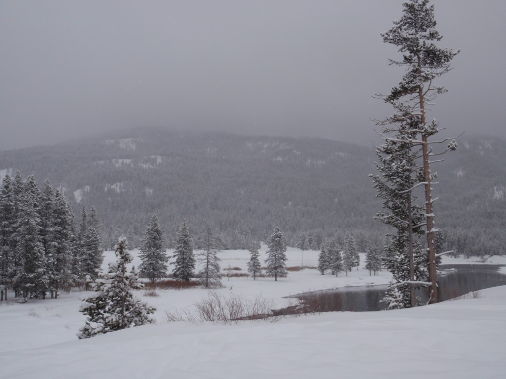 sm_AR-PC246448.JPG