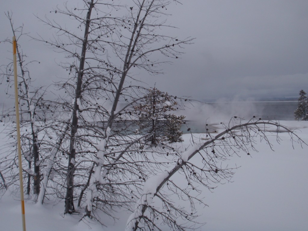 sm_AR-PC246558.JPG