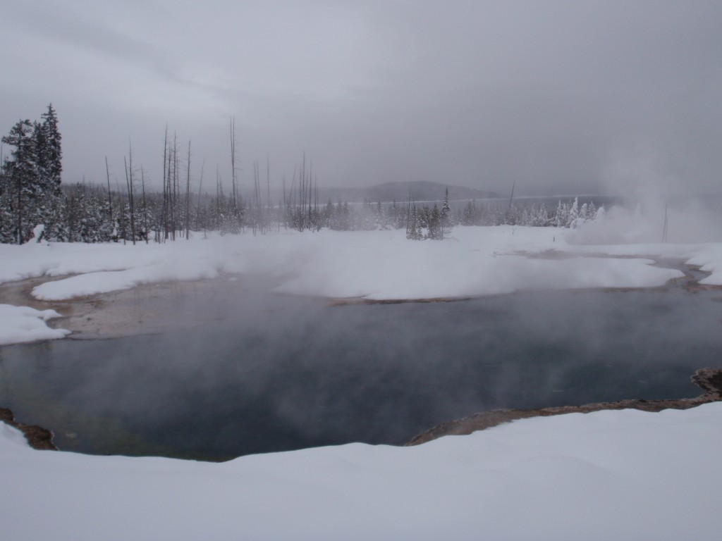 sm_AR-PC246559.JPG
