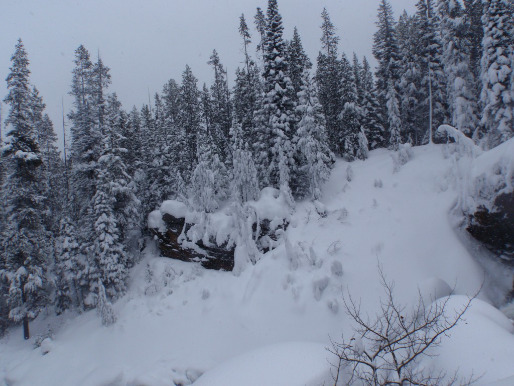 sm_PC241859.JPG