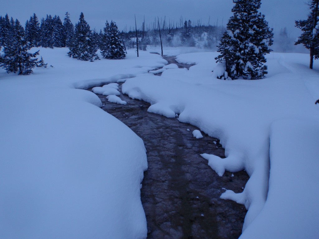 sm_PC241916.JPG