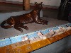 sm_AR-PC246396.JPG