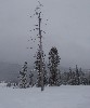 sm_AR-PC246455.JPG