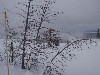 sm_AR-PC246558.JPG