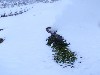 sm_PC241898.JPG