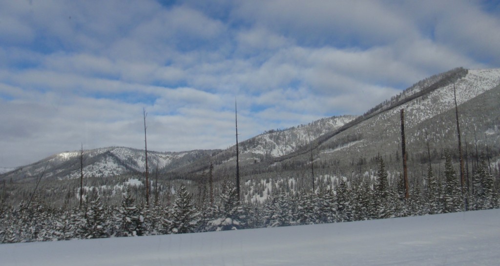 sm_AR-PC256727.JPG