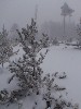 sm_AR-PC256622.JPG