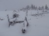sm_AR-PC256634.JPG