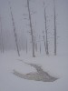 sm_AR-PC256681.JPG