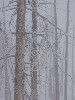 sm_AR-PC256686.JPG