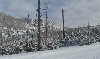sm_AR-PC256731.JPG