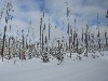 sm_AR-PC256766.JPG