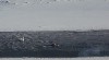 sm_AR-PC256859.JPG